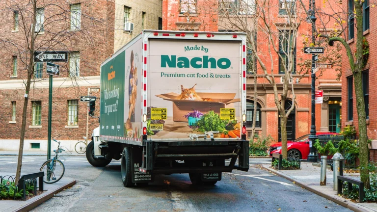 6512579e18a9f2d49133fd38 madebynacho